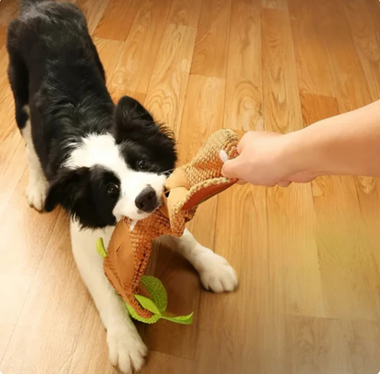 Plüsch-Schildkröte Snack- und Spielzeug für Hunde