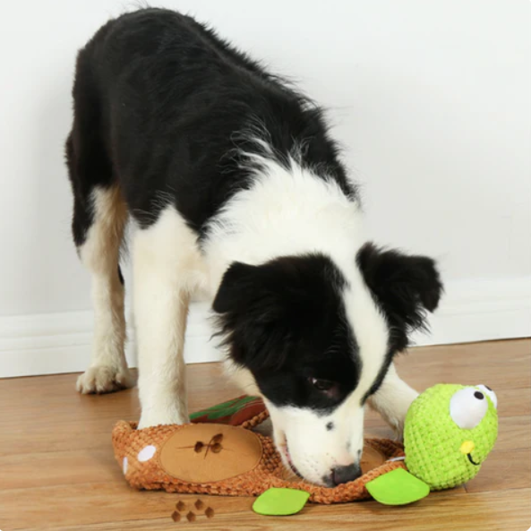 Plüsch-Schildkröte Snack- und Spielzeug für Hunde