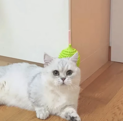 Silikon-Katzen-Spielzeug In UFO-Form Mit Katzenminze Gefülltes Spielzeug