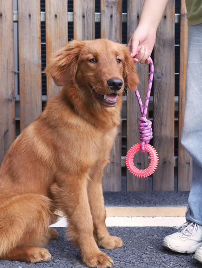 Robustes Hundespielzeug Mit Beißring – Kauspielzeug  Zerrseil Für Interaktiven Spielspaß