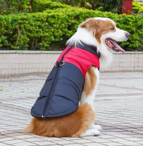 Wasserfeste und warme Hundejacke für kalte Tage