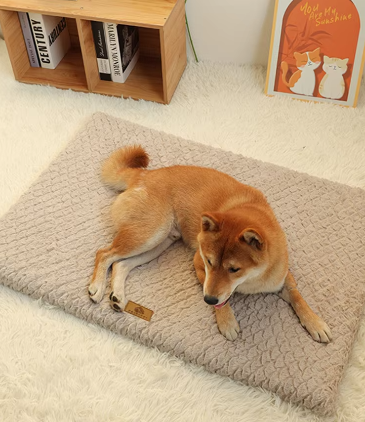 Orthopädisches Hundebett – Weiche  Flauschige Haustiermatte für Hunde  Katzen