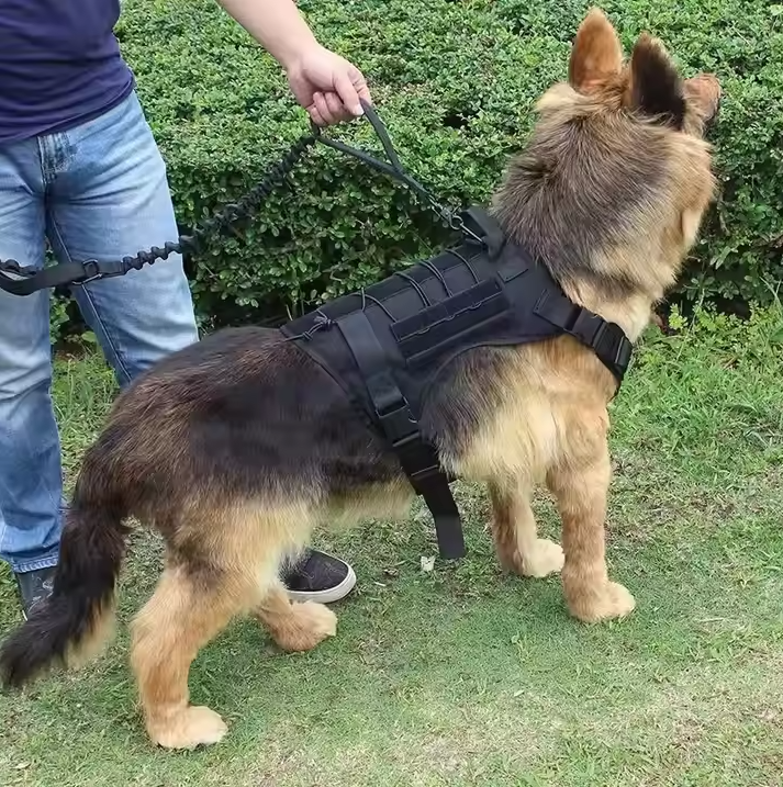 Taktisches Hunde Geschirr mit Taschen und Leine für Training und Outdoor-Einsätze