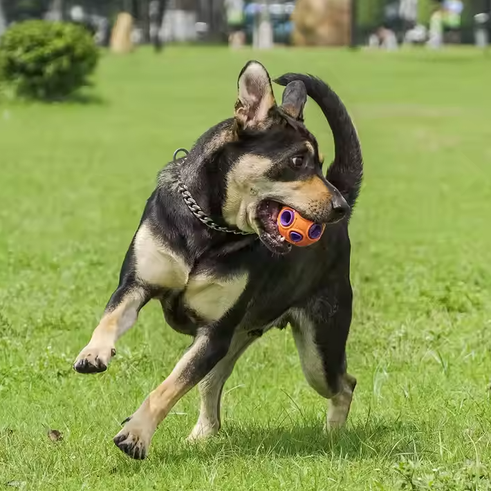 Interaktives Hundespielzeug Ball – Mit Musik und Leuchtfunktion für Hunde