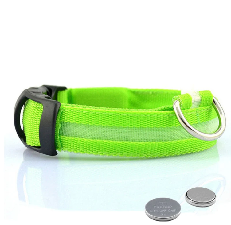 Hundehalsband mit LED-Lichtern