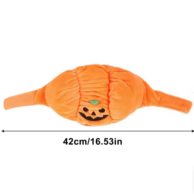 Süßes Halloween-Kürbis-Hundekostüm – Mit Lächelndem Kürbis-Design für Kleine Hunde
