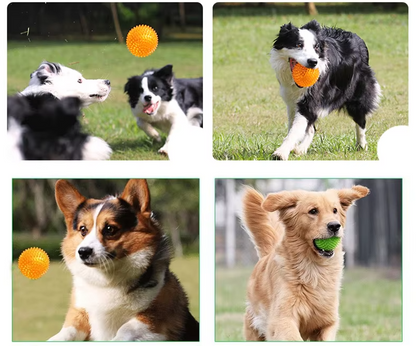 Noppenball Hundespielzeug – Zahnpflege- Und Massageball Für Spielerische Beschäftigung