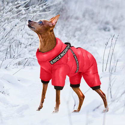 Hundewintermantel für kalte Tage