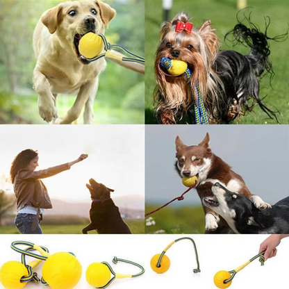 Robustes Hundespielzeug – Apportier- Und Zerrball Mit Seil