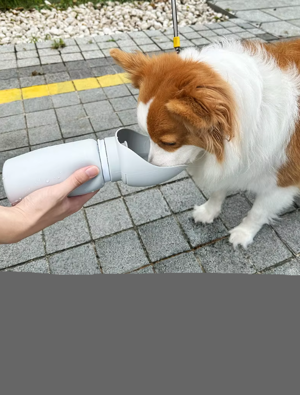 Reise-wasserflasche Mit Ausklappbarem Napf