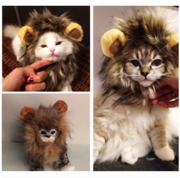 Löwenmähne für Katzen mit Ohren für Verkleidung und Lustige Fotos