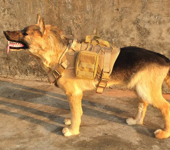 Taktisches Hunde Geschirr mit Taschen und Leine für Training und Outdoor-Einsätze