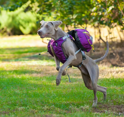 Hundewanderrucksack mit Wasserfesten Taschen – Tragbare Hundetrage für Outdoor-Aktivitäten