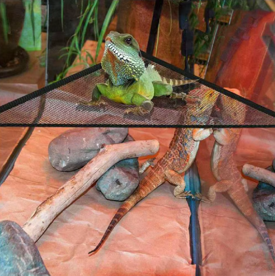 Hängematte für Reptilien – Netz-Hängematte mit Saugnäpfen für Terrarien