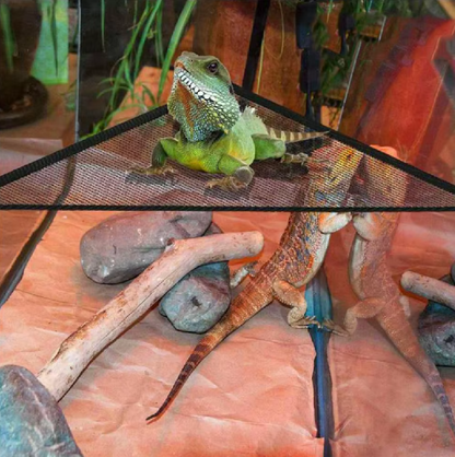 Hängematte für Reptilien – Netz-Hängematte mit Saugnäpfen für Terrarien