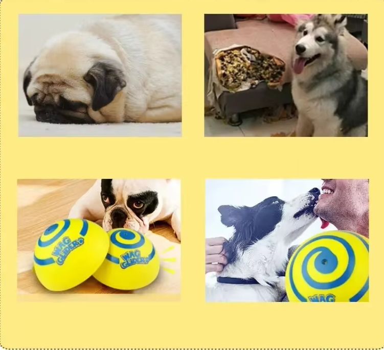 Interaktives Hundespielzeug – Drehbare Spielmatte In Spiralform für Geistige Stimulation