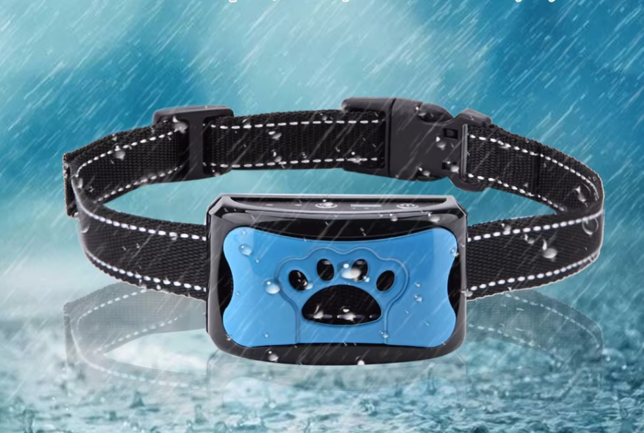 Hundetraining Halsband Mit Fernbedienung
