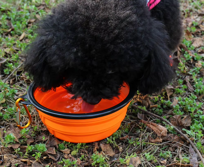 Zusammenklappbarer Hundebecher Mit Karabiner