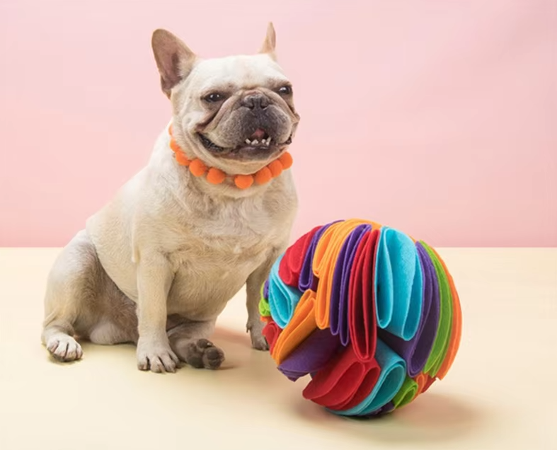 Hundespielzeug Ball – Bunter Stoffball Für Hunde Zum Kauen Und Spielen