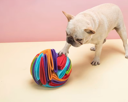 Hundespielzeug Ball – Bunter Stoffball Für Hunde Zum Kauen Und Spielen