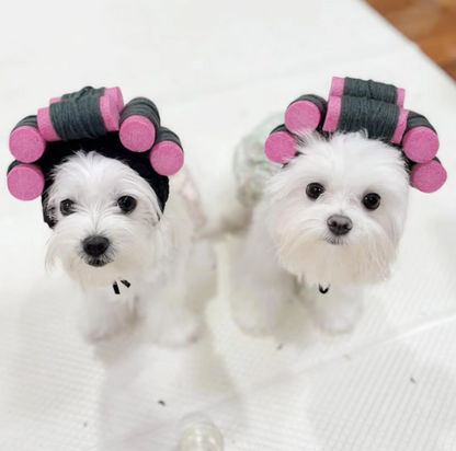 Lustige Haustier Kostüme – Bunte Haaraccessoires für Hunde und Katzen