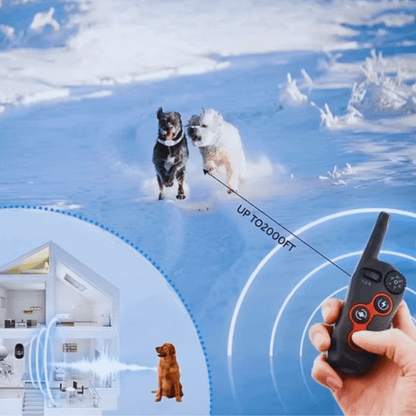Elektronisches Hundetrainingshalsband mit Fernbedienung und Vibrationsfunktion – Reichweite Bis 800m
