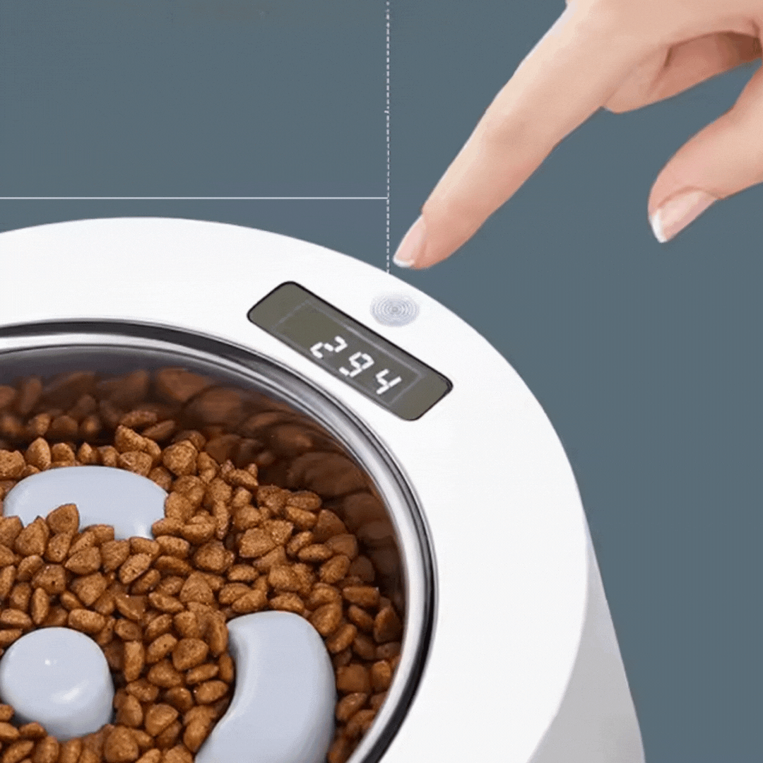 Automatischer Futterspender für Hunde und Katzen – Interaktive Futterschale mit Digitalanzeige