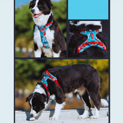 Verstellbares Hundegeschirr mit tropischem Muster und Gepolsterter Brustpartie – Ideal für Aktive Hunde