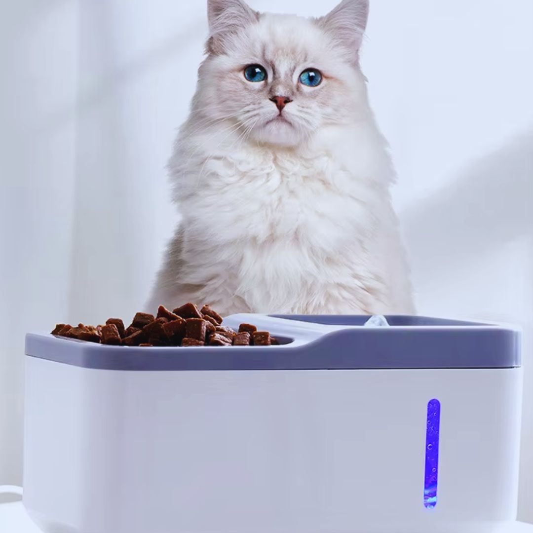 Automatischer Futter- und Wasserspender für Haustiere – Hygienische Versorgung für Hunde und Katzen