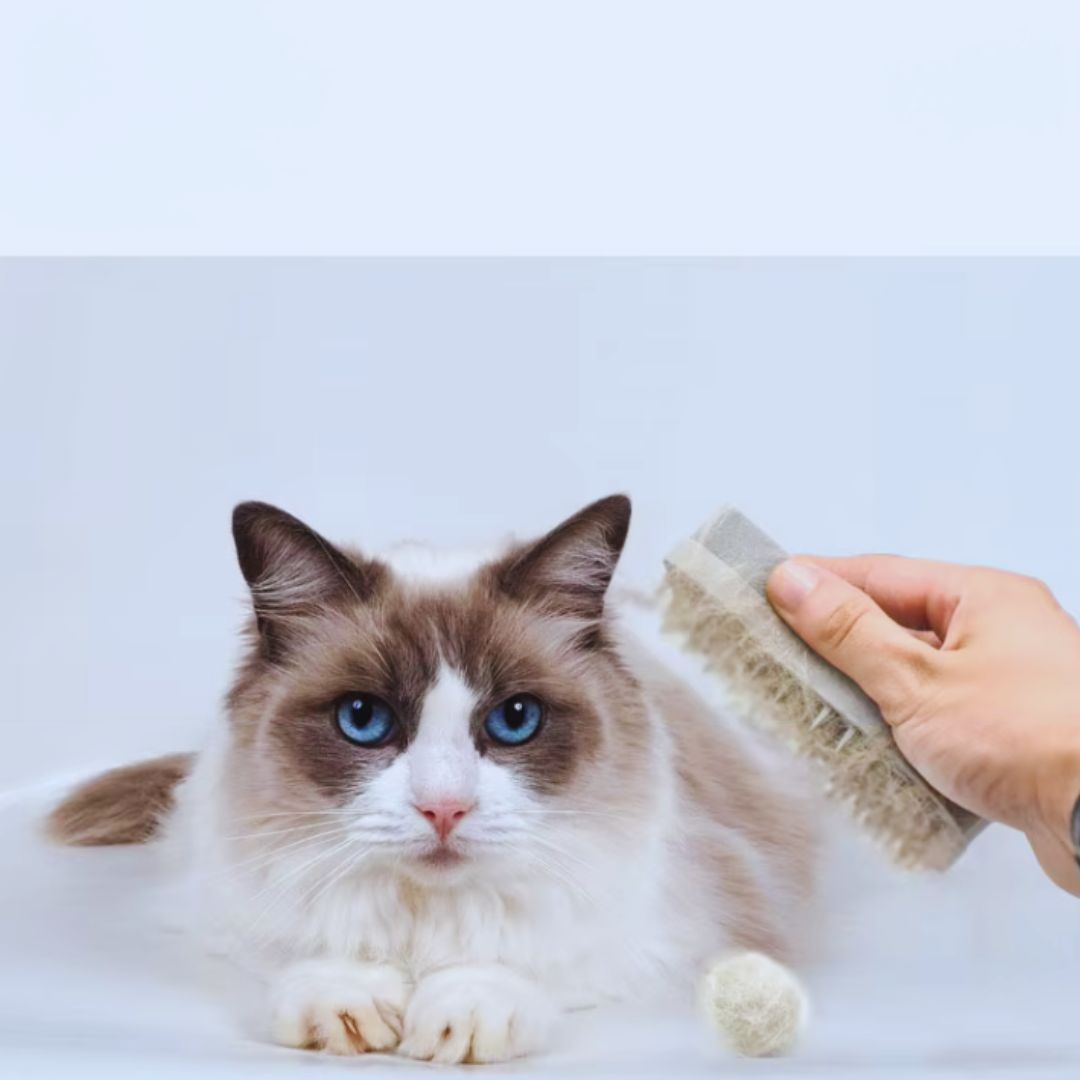 Fellpflegebürste für Katzen und Hunde mit Weichen Silikonborsten und Massageeffekt