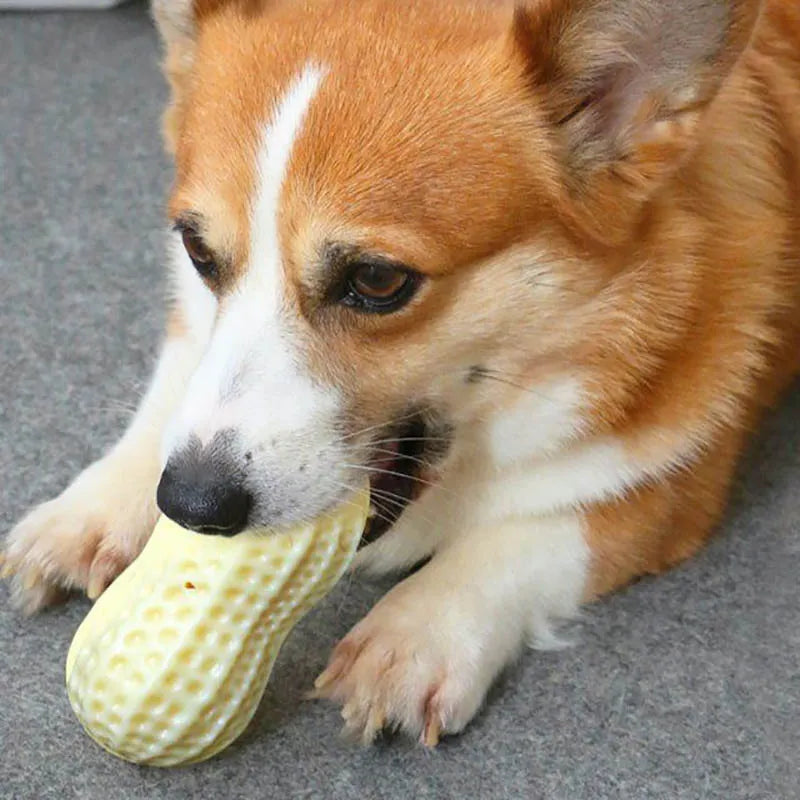 Hundespielzeug In Erdnussform – Kauspielzeug mit Geräuschloch für Hunde