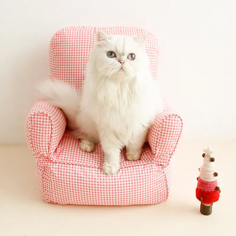 Mini Haustier-Sessel für Katzen und Kleine Hunde – Bequemer Lounge-Stuhl mit Armlehnen