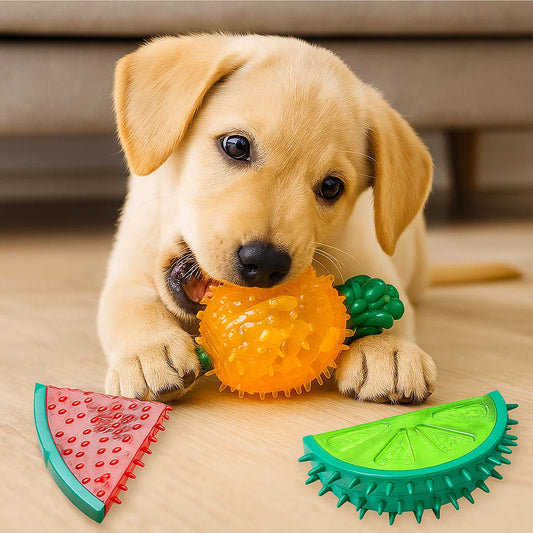 Kühlendes Hunde Kauspielzeug im Fruchtdesign