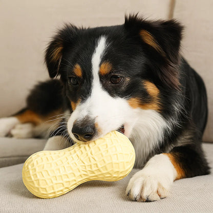 Langlebiges Erdnuss-Kauspielzeug für Hunde