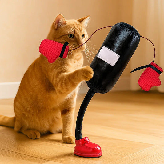 Interaktives Boxsack Katzen Spielzeug