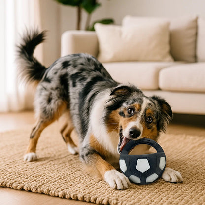 Robuster Spielzeug Ball zum Stressabbau für Hunde