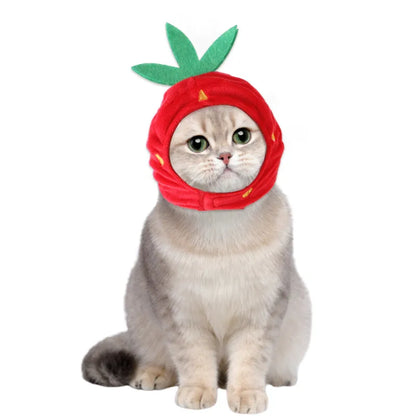 Lustige Haustier Kostüme – Bunte Haaraccessoires für Hunde und Katzen