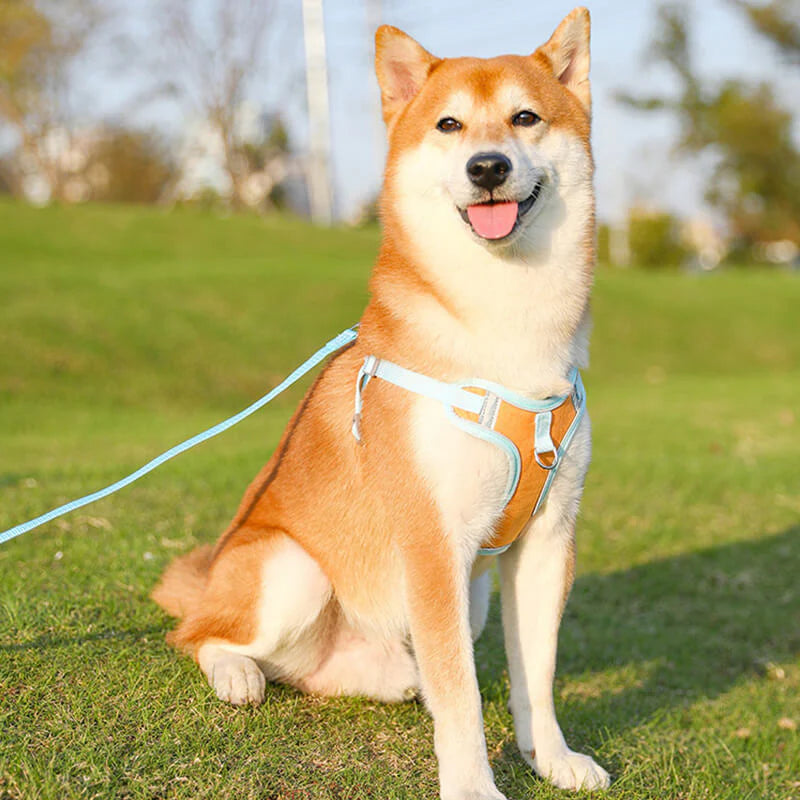 Reflektierendes Hundegeschirr Set für Hunde