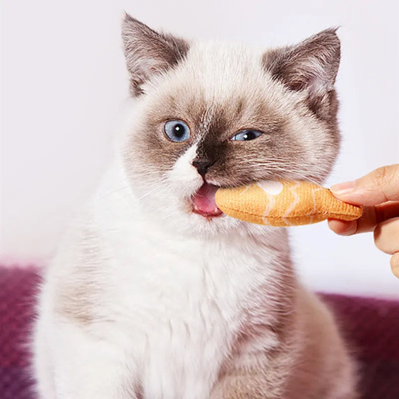Interaktives Katzenspielzeug – Bunte Fischspielzeuge Im Set Zum Kauen und Spielen