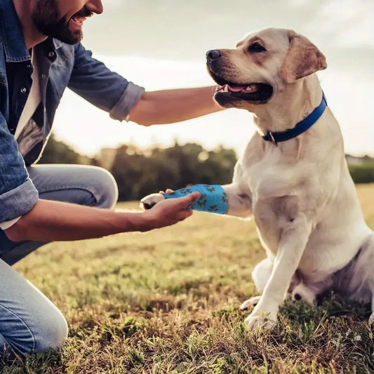 Bandagenschuh für Hunde zum Schutz vor Hitze Kälte und Dreck