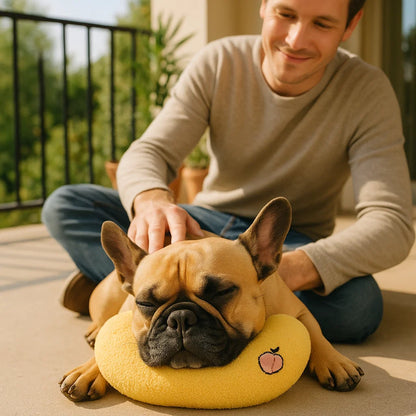 Ergonomisches Hunde Stützkissen für Gesunde Haltung