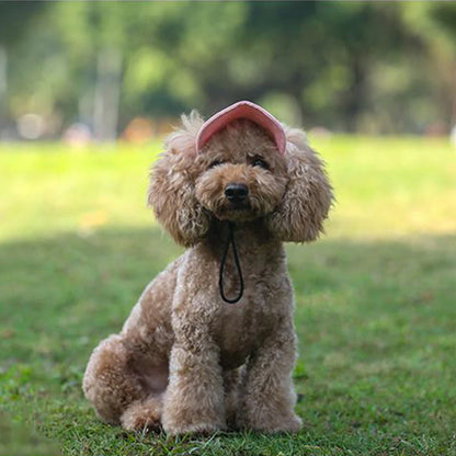 UV-Schutz Hunde-Sonnenmütze