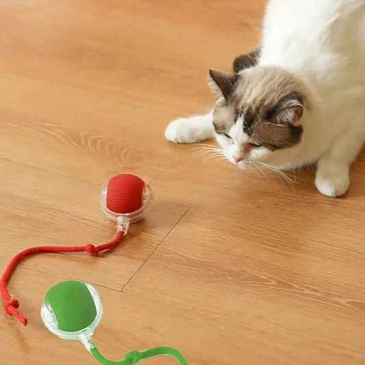 Interaktiver Spielball mit Schwanz für Katzen