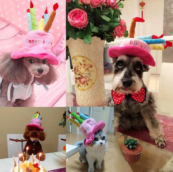 Partyhut für Hunde und Katzen