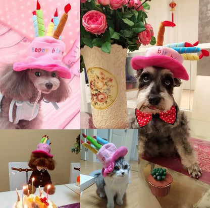 Partyhut für Hunde und Katzen