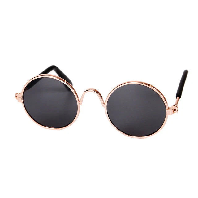 Modische Katzenbrille