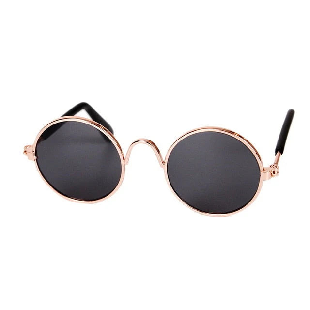 Modische Katzenbrille