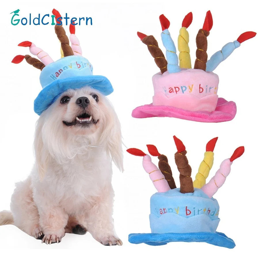 Partyhut für Hunde und Katzen