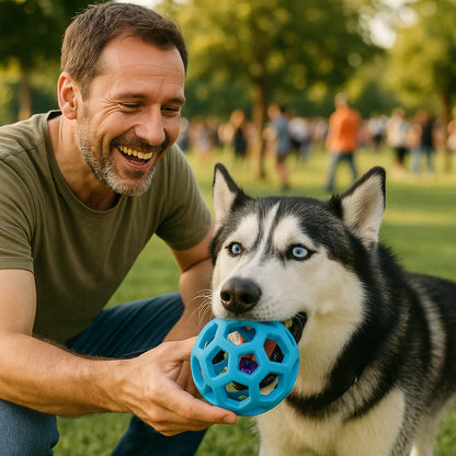 Hunde Glöckchen Ball Spielzeug - Resistente Zahnpflege und Training