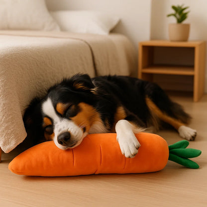 Quietschende Karotte Hundespielzeug zum Stressabbau und Spielen